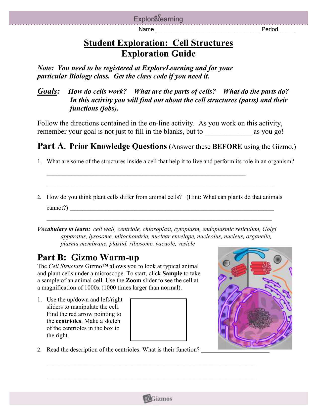 Hw Cell Structures Gizmo Gizmo Cell Structures Final