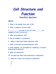 Cell Structure and Function