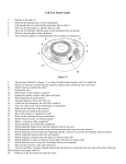 Cell Test Study Guide