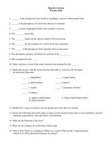 Digestive System Practice Quiz