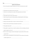 Cell Organelle Worksheet