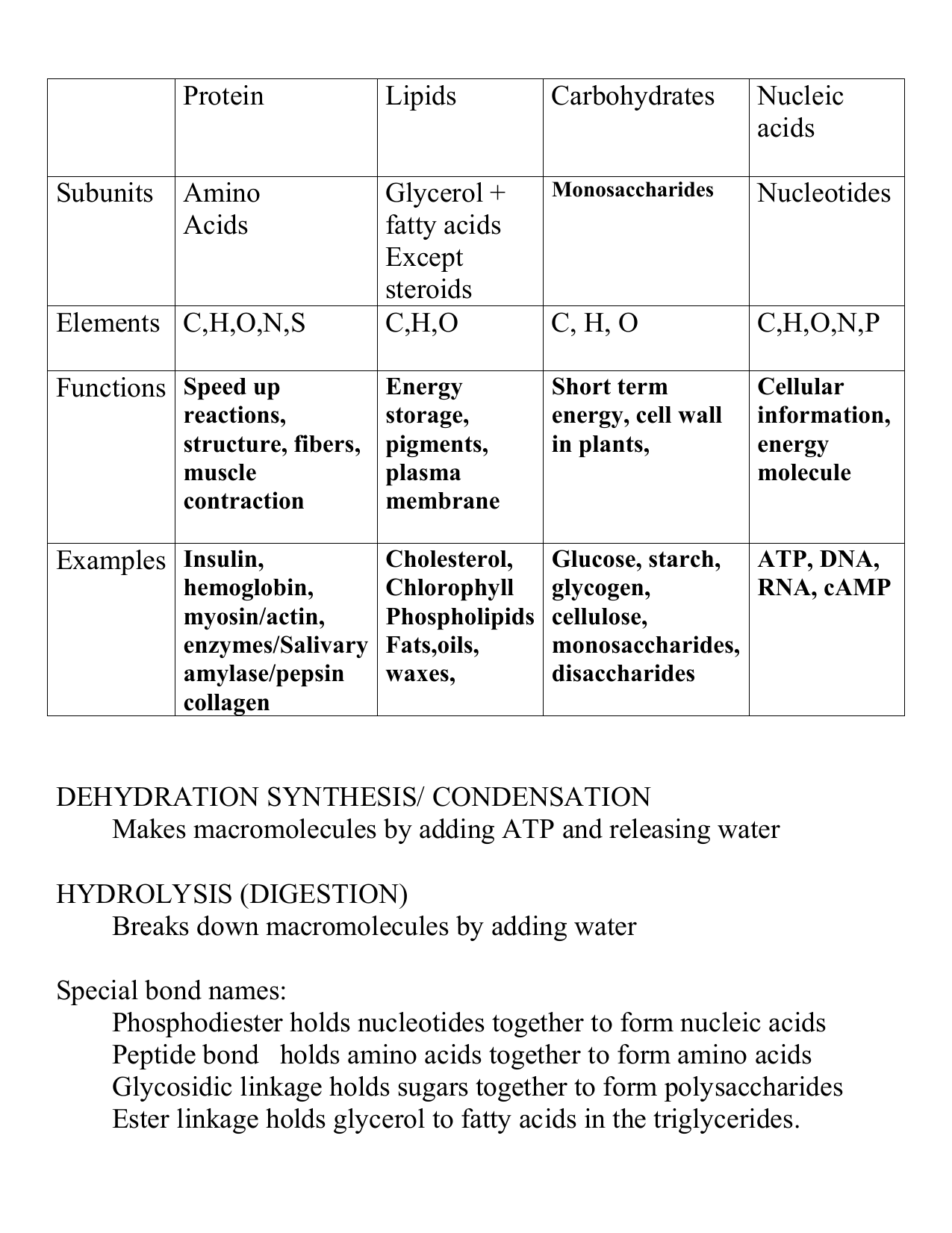 Amino Acid Functions Chart