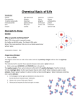 Chemical Basis of Life packet #2