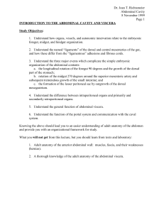 ABDOMINAL CAVITY AND VISCERA