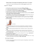 Zoology Chapter 27 Worms and Mollusks Study Guide