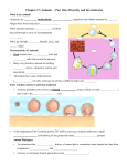 Chapter 17A: Invertebrate Animals