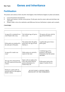 Genetics Year 3 Notes and worksheets
