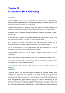 Chapter 12 Recombinant DNA Technology Key Concepts