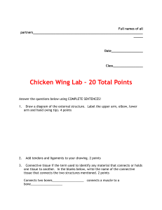 Chicken Wing Labs
