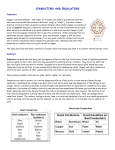 6.P.3.3 Materials in Technological Design