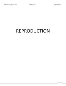 reproduction - mrstorie