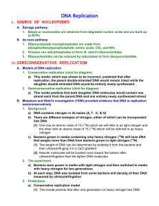 IV. Enzymology of DNA Replication