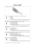 Systematics Conceptual Test