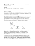 Chapter 1 • Lesson 6