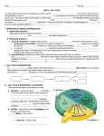 unit vi – cell cycle