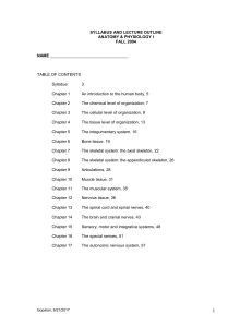 lecture outline - STLCC.edu :: Users` Server