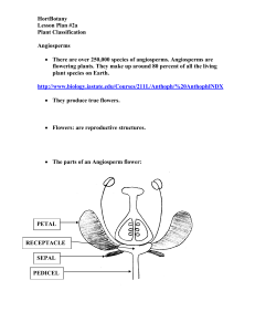 Lesson Plan 2a