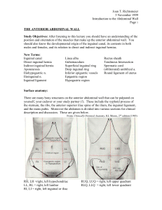 Introduction to the Abdomen
