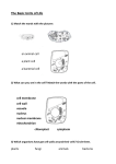 The Basic Units of Life 1) Match the words with the pictures 2) What