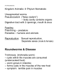 27-2 Roundworms - The Biology Corner
