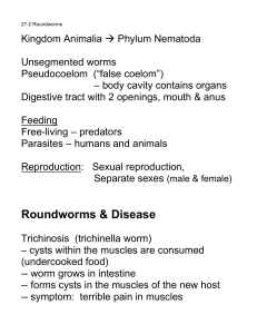 27-2 Roundworms - The Biology Corner