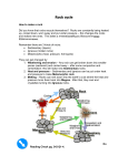 7Unit4Ch.10Rockcycle-and-mineral-uses