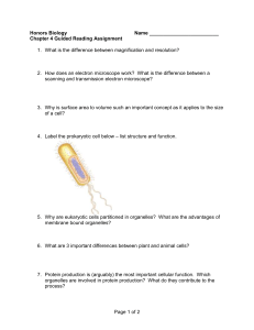 5echap4guidedreading