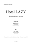 Financial situation for Hotel LAZY