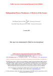 2000-11-E-IPPs - Public Services International Research Unit