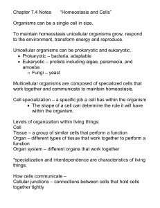 Ch.7.4 Homeostasis Notes