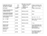 COMPARE the kinds of transport