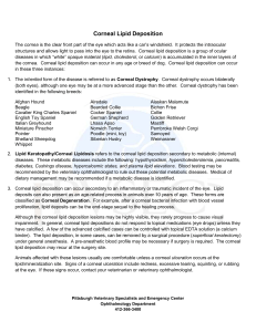 Corneal Lipid Deposition - Pittsburgh Veterinary Specialty