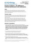 Protein synthesis – the difference between prokaryotes and