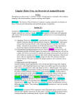 Chapter Thirty-Two: An Overview of Animal Diversity