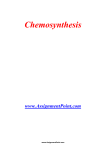 Chemosynthesis www.AssignmentPoint.com In biochemistry