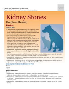 kidney_stones