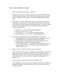 Chapter 1 Homework - due Tuesday, Sept