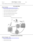 Plant WebQuest: Activity