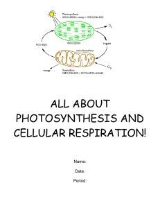 ALL ABOUT PHOTOSYNTHESIS AND CELLULAR RESPIRATION