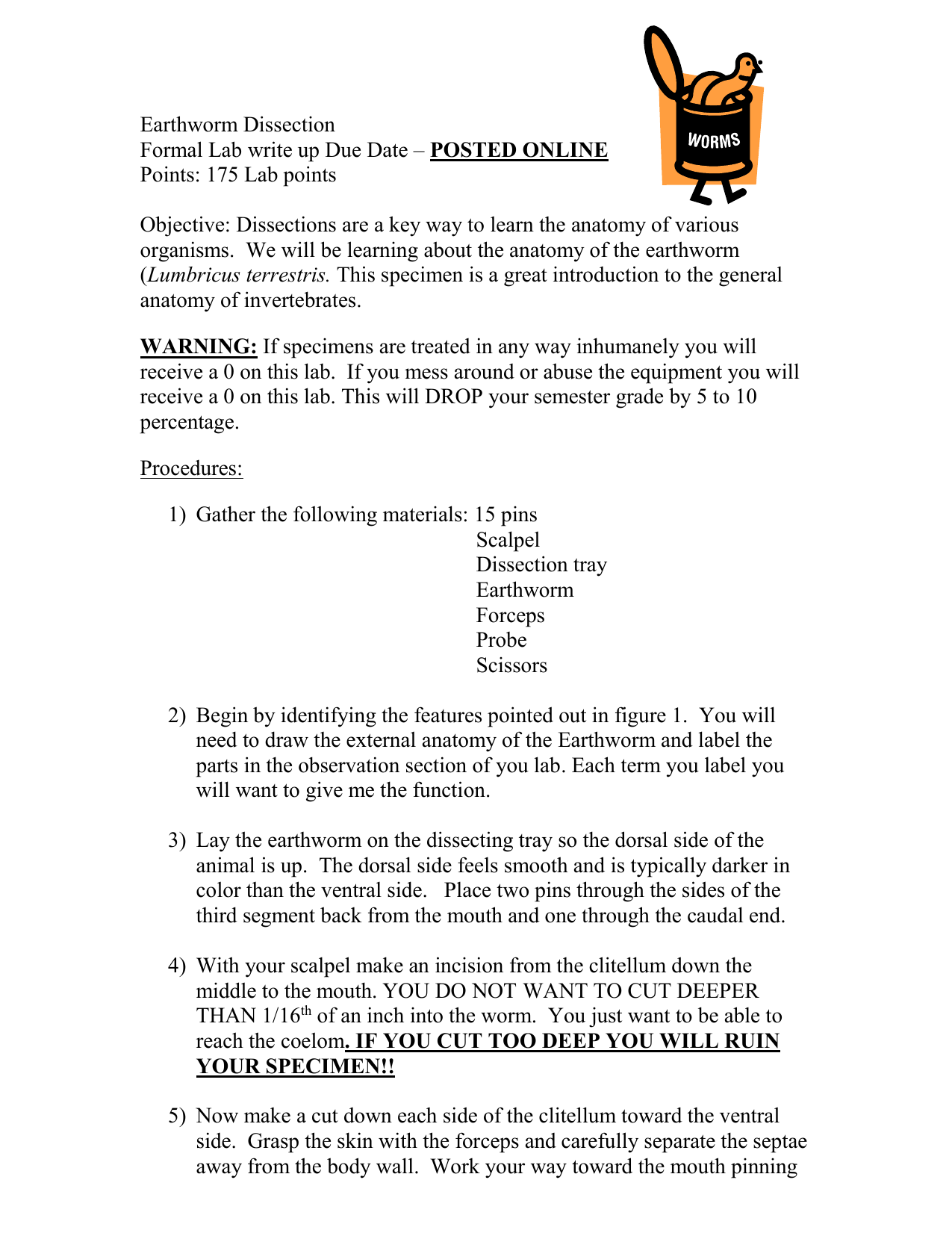 Earthworm Dissection Lab Report