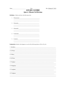 Cell Growth and Mitosis Study Guide