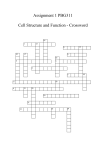 Cell Structure and Function - Crossword