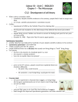 File - Mr. Downing Science 10