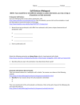 Cell Cycle and Mitosis Webquest