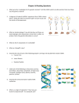 Chapter 16 Reading Questions What were the 2 candidates for the