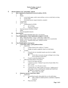 bi361,2008,lec5,intertidal_org_B,mollusca,study