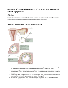 Overview of normal development of the fetus with associated clinical