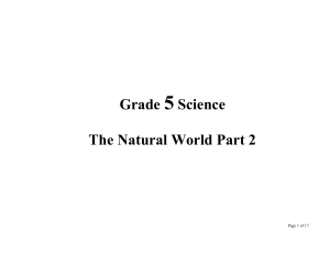 Grade 5 Science