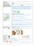 answer key - TeacherWeb