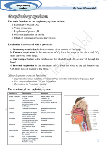 Kidneys excrete excess acid or base.